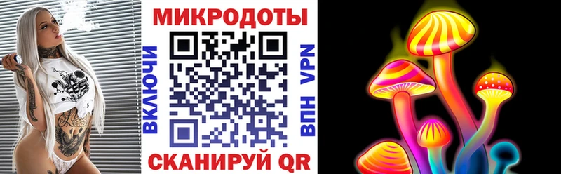 закладка  Шатура  Псилоцибиновые грибы Psilocybe 