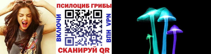 Галлюциногенные грибы мицелий Шатура