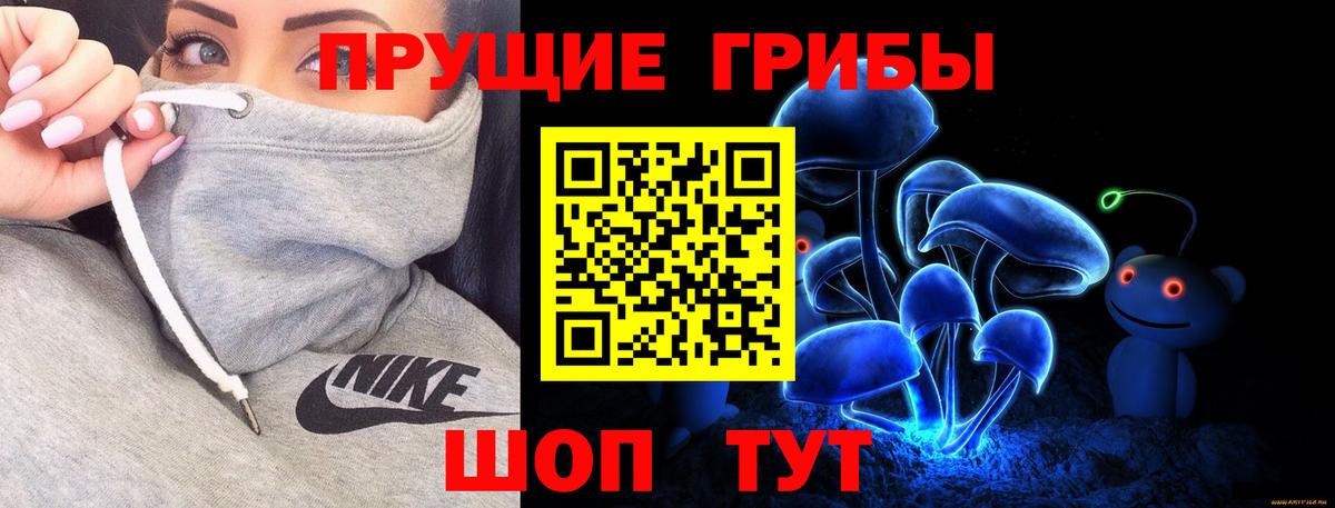 Шатура  Галлюциногенные грибы мицелий  Псилоцибиновые грибы GOLDEN TEACHER  Вход с VPN 