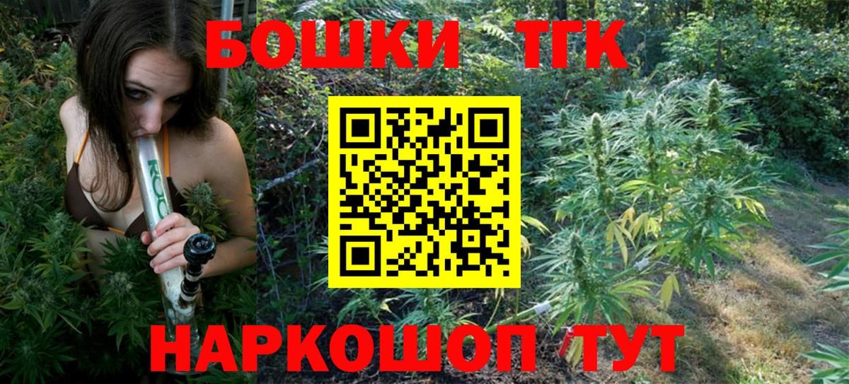 A PVP Шатура